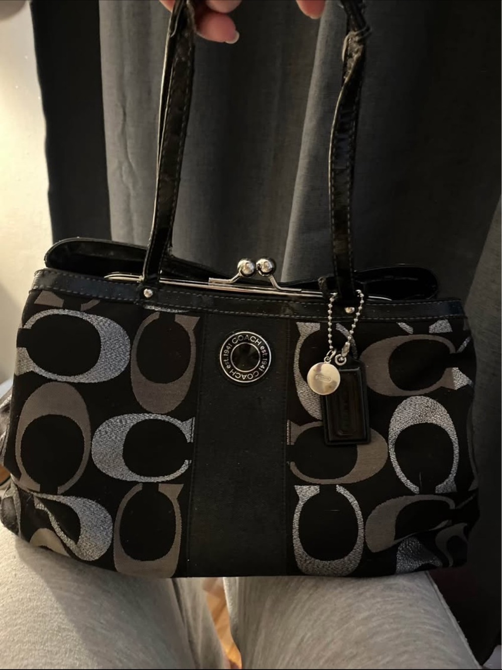 Coach signature stripe caryall purse
